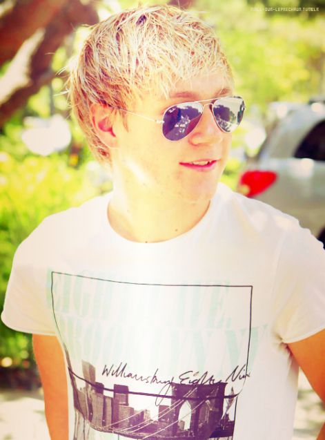 niall-niall-horan-28066363-500-676.jpg